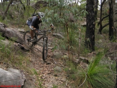 20070114-Coba 196 